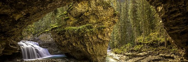 Drzewa, Johnston Canyon, Jaskinia, Park Narodowy Banff, Kanada, Wodospad, Skała