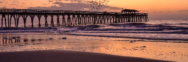 Wschód słońca, Molo, Stany Zjednoczone, Karolina Południowa, Ptaki, Plaża, Myrtle Beach State Park, Morze