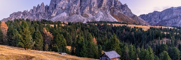 Drzewa, Góry, Las, Dom, Dolomity, Włochy