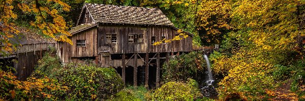 Drzewa, Młyn Cedar Creek Grist Mill, Stany Zjednoczone, Stan Waszyngton, Rzeka, Las, Woodland, Jesień