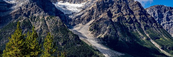 Prowincja Alberta, Drzewa, Park Narodowy Banff, Kanada, Lasy, Góry Skaliste