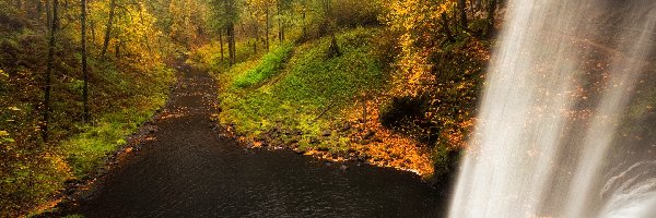 Wodospad, Drzewa, Rzeka, Roślinność, Las, Jesień