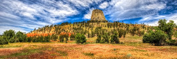 Stany Zjednoczone, Wzgórze, Drzewa, Skała Devils Tower, Góra, Stan Wyoming, Chmury