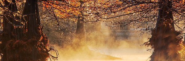 Park, Drzewa, Staw, Kaczki, Jesień