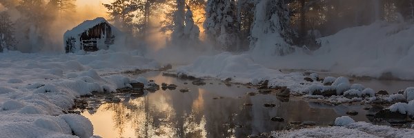 Jezioro, Drzewa, Szopa, Źródła termalne, Las, Zima