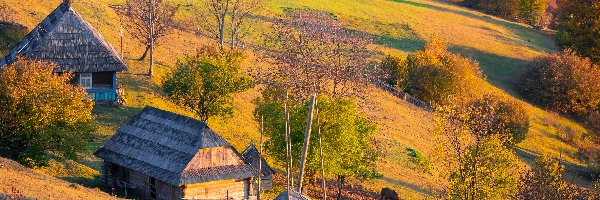 Koń, Drewniane, Domy, Jesień, Wieś, Pola, Drzewa