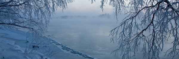 Mgła, Drzewa, Gałęzie, Ośnieżone, Zima, Lód, Jezioro