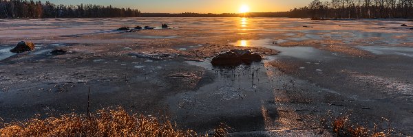 Drzewa, Jezioro, Finlandia, Valkeakoski, Lód, Trawa, Kamienie, Wschód słońca