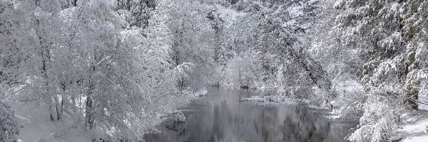 Mgła, Śnieg, Zima, Czarno-białe, Drzewa, Rzeka