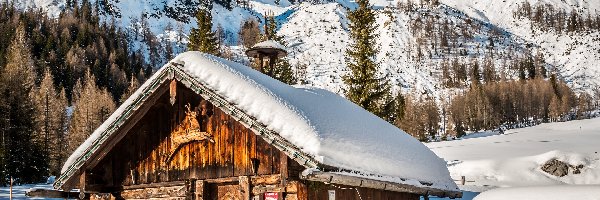 Góry, Świerki, Chata, Śnieg, Zima, Austria, Ramsau am Dachstein, Drzewa, Alpy