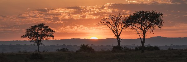 Kisoro, Chmury, Zachód słońca, Drzewa, Afryka, Uganda