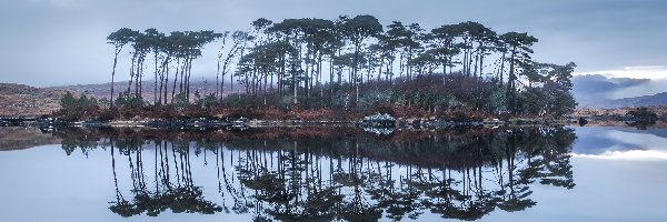 Odbicie, Drzewa, Irlandia, Region Connemara, Sosny, Jezioro Derryclare Lough, Galway, Wyspa