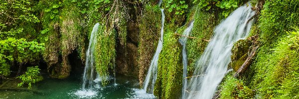 Park Narodowy Jezior Plitwickich, Roślinność, Wodospad, Chorwacja