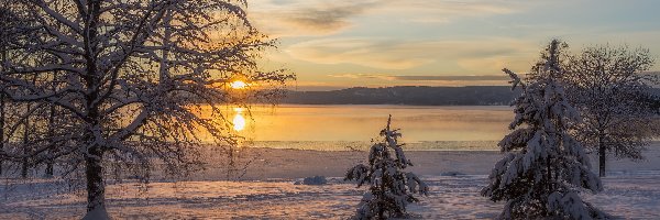Zima, Zachód słońca, Jezioro Glafsfjorden, Drzewa, Szwecja, Arvika