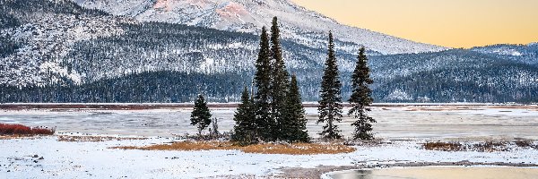 Stan Oregon, Drzewa, Góry Kaskadowe, Stany Zjednoczone, Jezioro Sparks Lake, Zima