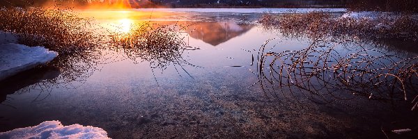 Zima, Jezioro Vermilion Lake, Trawy, Kanada, Góry, Park Narodowy Banff