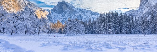 Stany Zjednoczone, Drzewa, Góry, Park Narodowy Yosemite, Zima, Kalifornia, Chmury