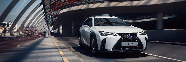 F Sport, Lexus UX 250h, Biały