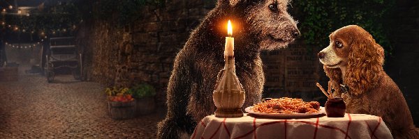 Świeca, Zakochany kundel, Psy, Lady and the Tramp, Film, Stolik, Zwierzęta