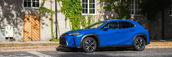 Dom, Lexus UX 250h, Niebieski