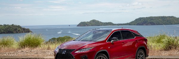 Lexus RX 350 F