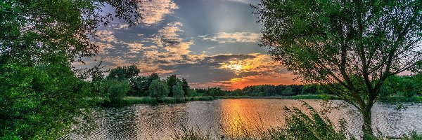 Poranek, Drzewa, Wschód słońca, Chmury, Trawa, Jezioro