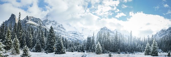 Chmury, Droga, Canadian Rockies, Góry, Zima, Kanada, Kolumbia Brytyjska, Drzewa, Park Narodowy Yoho