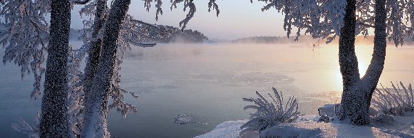 Wschód słońca, Ośnieżone, Drzewa, Jezioro, Zima, Trawa, Gałęzie