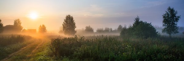 Poranek, Łąka, Trawa, Mgła, Droga, Wschód słońca, Drzewa