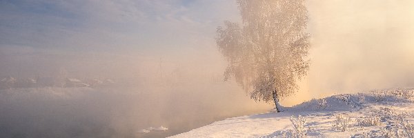 Mgła, Ośnieżone, Drzewo, Rzeka, Śnieg, Zima