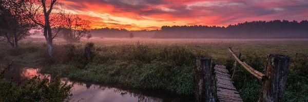 Drzewa, Rzeka, Chmury, Mgła, Mostek, Las, Zachód słońca, Pole