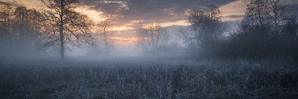 Zachód słońca, Szron, Mgła, Chmury, Trawa, Drzewa