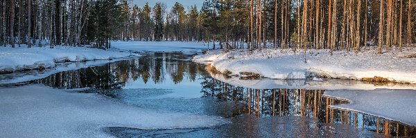 Śnieg, Drzewa, Las, Lód, Rzeka, Zima