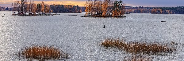 Trawy, Drzewa, Jesienne, Jezioro