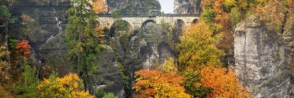 Formacja skalna, Skały, Drzewa, Góry Połabskie, Jesień, Niemcy, Park Narodowy Saskiej Szwajcarii, Most, Bastei