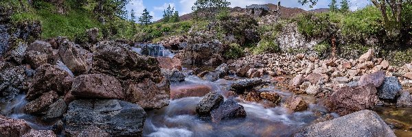 Rzeczka, Drzewa, Strumyk, Kamienie