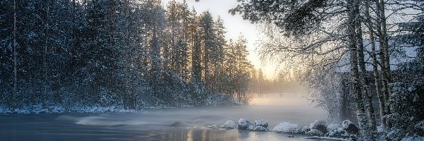 Zima, Las, Rzeka, Wschód słońca, Drzewa