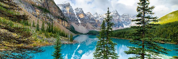 Góry, Park Narodowy Banff, Jezioro Moraine, Prowincja Alberta, Kanada, Drzewa, Las