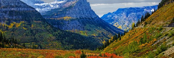 Stany Zjednoczone, Jesień, Kolorowe, Góry Skaliste, Park Narodowy Glacier, Montana, Rośliny