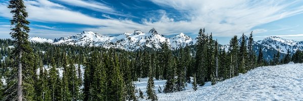 Park Narodowy Mount Rainier, Góry Kaskadowe, Stany Zjednoczone, Stan Waszyngton, Pasmo Tatoosh, Drzewa, Chmury, Zima
