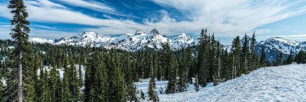 Park Narodowy Mount Rainier, Góry Kaskadowe, Stany Zjednoczone, Stan Waszyngton, Pasmo Tatoosh, Drzewa, Chmury, Zima