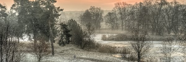 Rzeka, Szron, Śnieg, Poranek, Drzewa, Zima