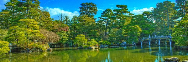 Staw, Park, Most, Drzewa, Kioto, Japonia