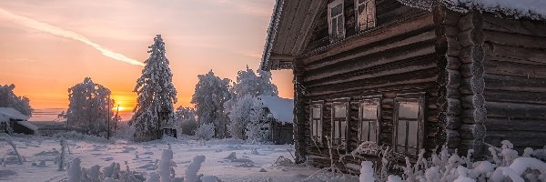 Śnieg, Drewniany, Dom, Domy, Zima, Rośliny, Drzewa