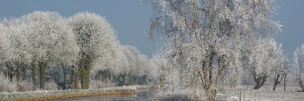 Zima, Drzewa, Oszronione, Rzeka, Trawa