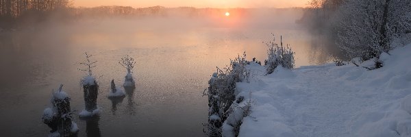 Miejscowość Szatura, Jezioro Białe, Rosja, Mgła, Rośliny, Kołki, Wschód słońca, Zima, Oszronione, Obwód moskiewski