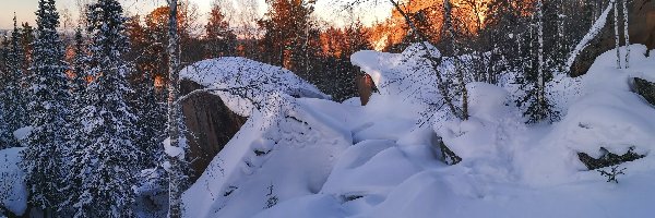 Zima, Drzewa, Śnieg, Skały, Góry