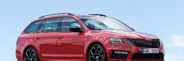 Kombi, Skoda Octavia RS 245