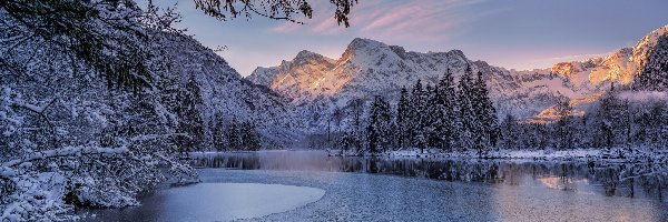 Totes Gebirge, Góry, Region Górna Austria, Ośnieżone, Las, Świerki, Alpy, Drzewa, Zima, Wschód słońca, Jezioro Almsee, Austria