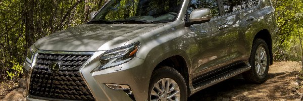 2020, Lexus GX